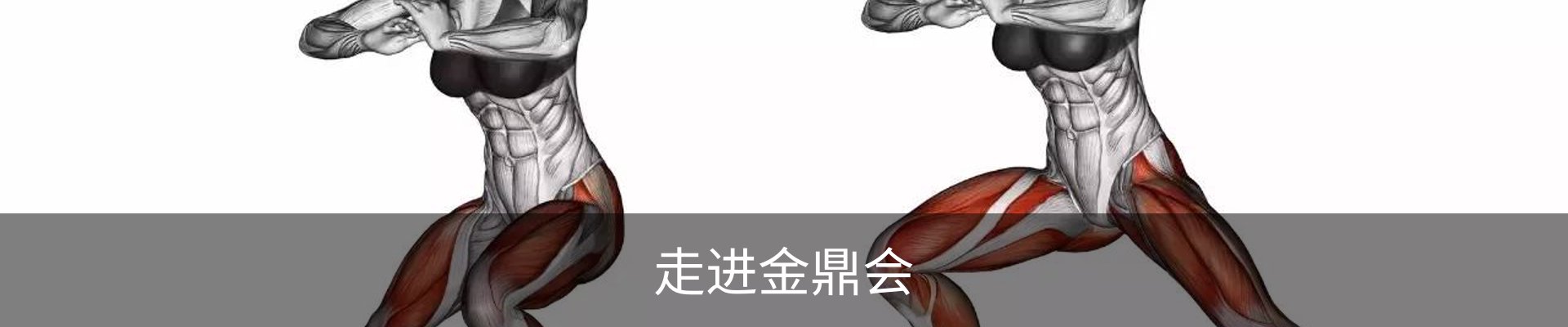 走进金鼎会